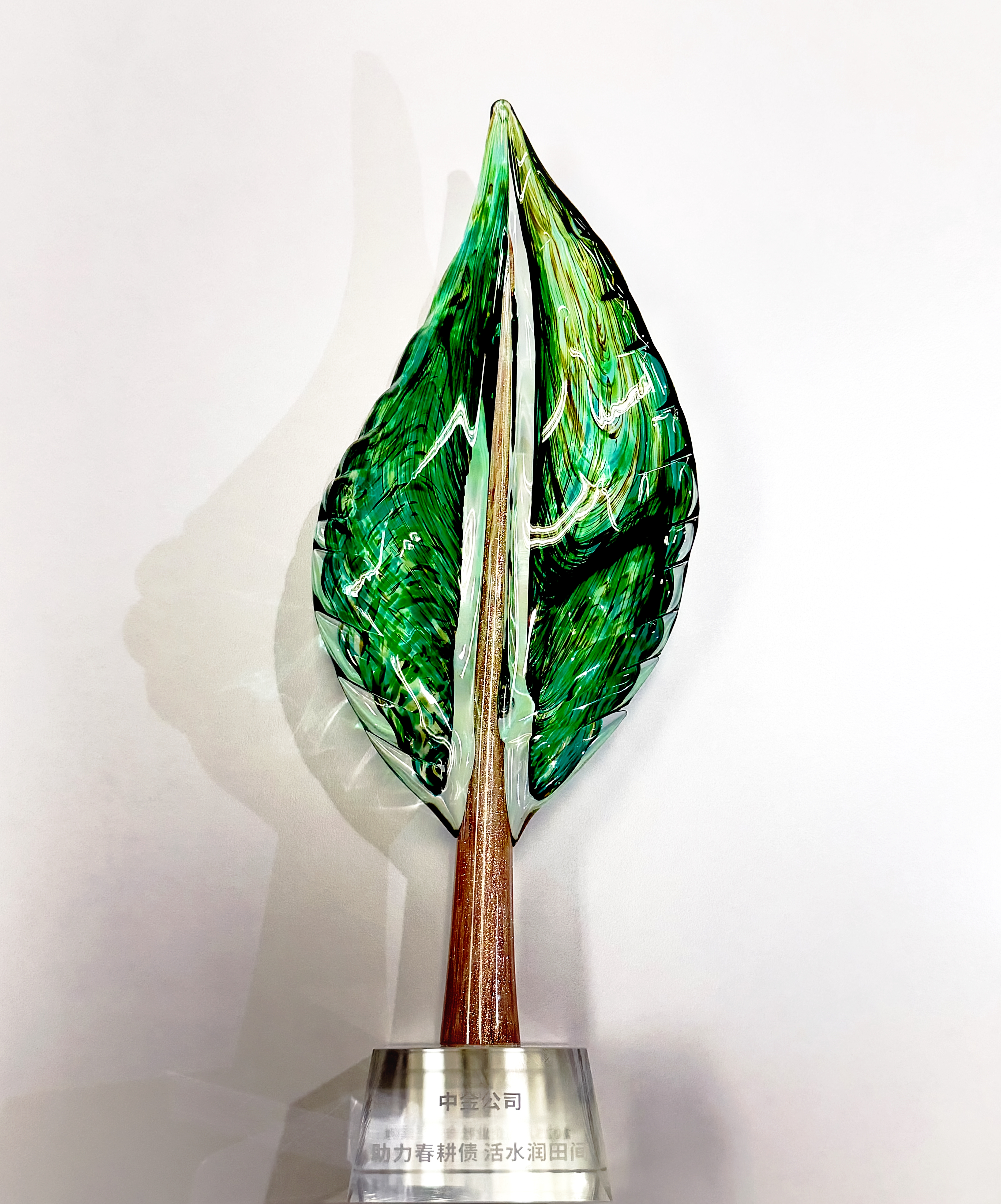 春耕備耕 修圖 .jpg